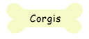 bone-corgis.gif